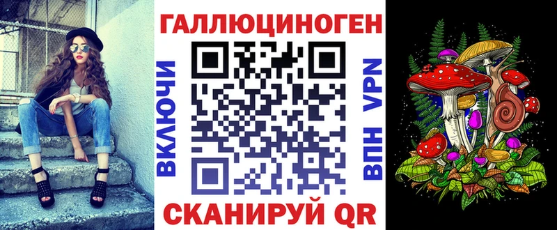 дарнет шоп  Новопавловск  Псилоцибиновые грибы GOLDEN TEACHER 